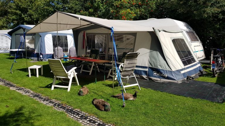 20626727_1940399429541321_8319131883829355597_o