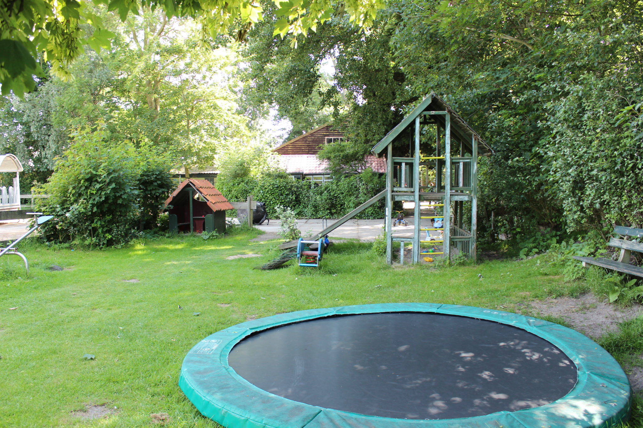 camping boerderij Jonker — Photo 9 of 9